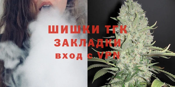 ГАЛЛЮЦИНОГЕННЫЕ ГРИБЫ Арсеньев