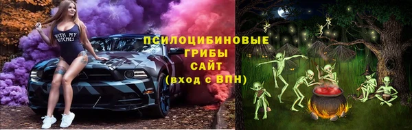 ГАЛЛЮЦИНОГЕННЫЕ ГРИБЫ Арсеньев