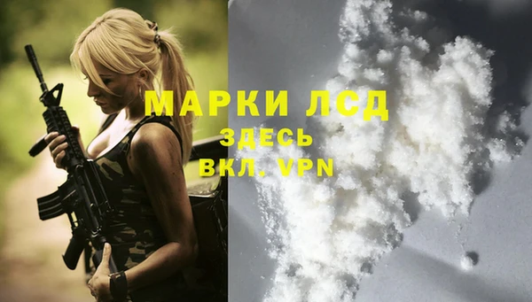 ГАЛЛЮЦИНОГЕННЫЕ ГРИБЫ Арсеньев