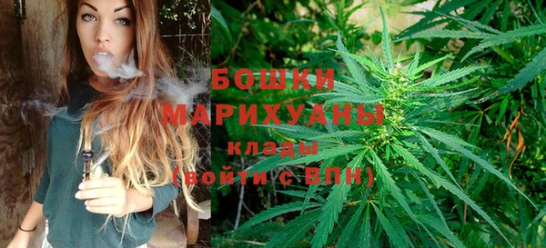 винт Армянск